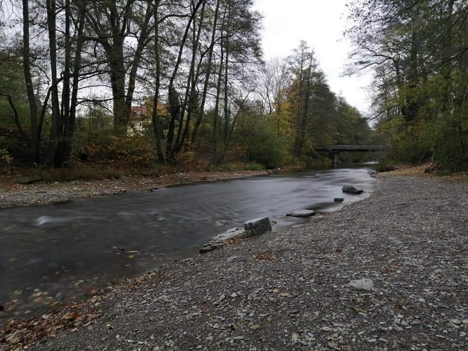 Bungalow Schwarzatalblick In Bad Blankenburg Ortsteil Boehlscheiben Dış mekan fotoğraf