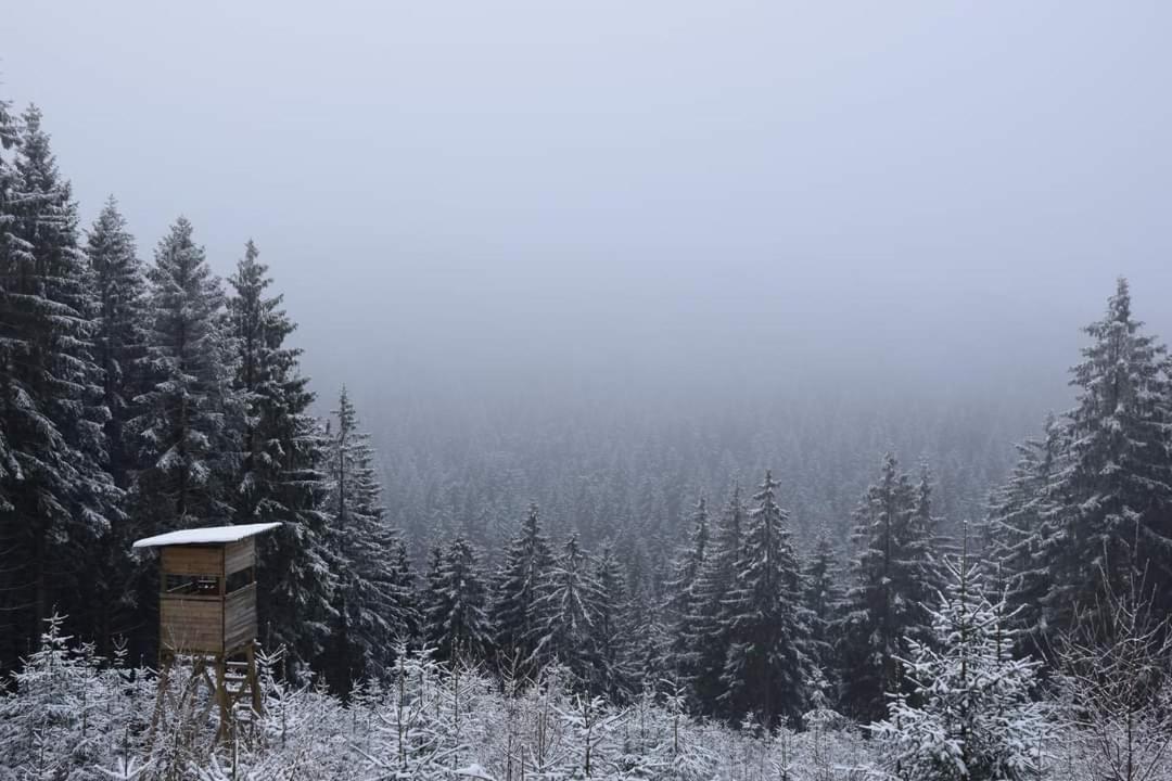 Bungalow Schwarzatalblick In Bad Blankenburg Ortsteil Boehlscheiben Dış mekan fotoğraf