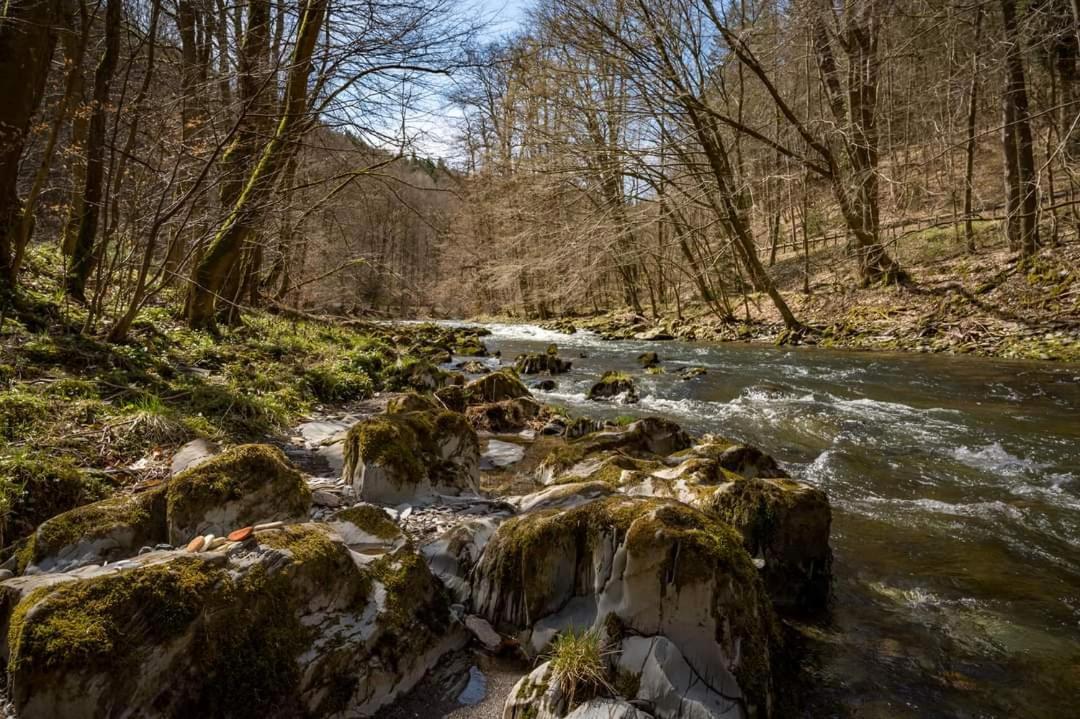 Bungalow Schwarzatalblick In Bad Blankenburg Ortsteil Boehlscheiben Dış mekan fotoğraf
