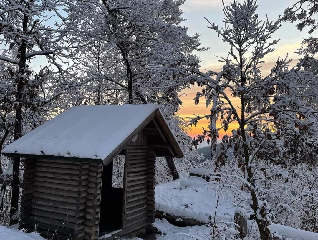 Bungalow Schwarzatalblick In Bad Blankenburg Ortsteil Boehlscheiben Dış mekan fotoğraf